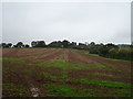 Field off Chepstow Road, Langstone in NP18 2NR