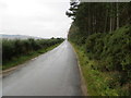 Minor road and woodland near to Auchenhove in AB31 4QR