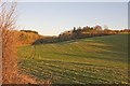 The Slope seen from bridleway in SP5 2NE