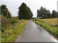 Minor road approaching Hirnley in AB31 4QX
