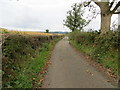 A hedge-lined Coneygarth Lane at Tunstall in LA6 2QP