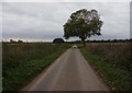 Hall Road towards Runham in NR29 3JB