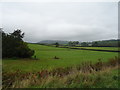 Grazing near Park Cottage in NP26 3AG