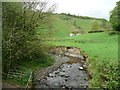 Afon Annell and eroded bank, Llanegwad in SA32 7HG