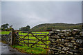 Haverthwaite : Grassy Field & Gate in LA12 8LY