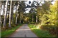 Tarred road in Bowmont Forest in TD5 8EA
