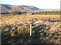 Marker post on Whitesike Moss in CA11 0SU