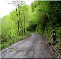 15 mph speed limit on a road through Giedd Forest, Cwmgiedd, Powys in SA9 1ND