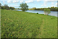 Meadow by Sutton Bingham Reservoir in Closworth