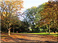 Autumn trees, Widmerpool in NG12 5QE