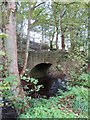Bridge over the burn in DD7 7RP