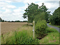 Footpath leaving Hollow Lane in CM1 4FF
