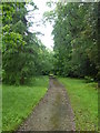 Path through woodland at Corsham Park in SN13 0DP