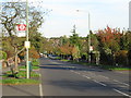Stone Park Avenue, Beckenham in BR3 3XB