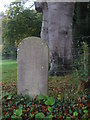 Congresbury Manor boundary stone number 26 in BS40 5NR