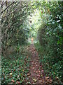 Footpath off Wrington Hill in BS40 5PR