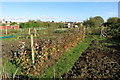 Allotments by the bridleway in NN10 9EZ