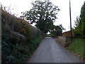 Moreton Road towards Burghill in Herefordshire