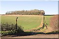 Footpath from Lippen Wood going towards Bere Farm in GU32 1JD