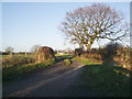 The road to Wood End Farm in Eccleston, Heskin & Charnock Richard Ward