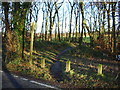 Footpath through Big Wood in Eccleston, Heskin & Charnock Richard Ward