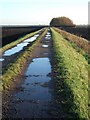 Fenland track near Manea in PE15 0HW