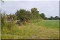 Fields beside Baddiley Lane in Ravensmoor