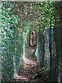 Footpath south of Seven Acres in HA5 3XY