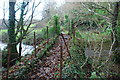 Pont Droed dros Afon Dwyfach - Footbridge over Afon Dwyfach in LL52 0LU