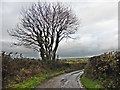 Bend in the road to Kitcott Cross in EX36 4NW