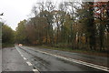 The A40 in Grove Wood in OX39 4SQ