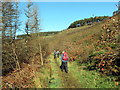 Llwybr Cwm Garw Fechan / Cwm Garw Fechan Path in Garw Valley Community