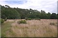 Heathland, Highgate Common in DY3 4QE