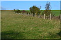 Fence across farmland near Faulkner's Down Farm in SP11 6ZZ