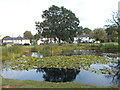 Village pond, Potten End in HP4 2QF