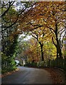 Autumn on Brincliffe Edge Road in S7 1SF