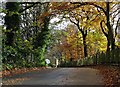 Brincliffe Edge Road in Autumn in S7 1SF