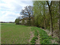 Field edge bridleway in CM13 3QW