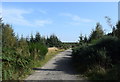 Path in Kirkhill Forest in AB21 0TY