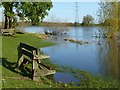 Riverside seat, Stoke Bardolph in Trent Valley Ward