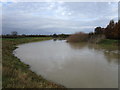The River Witham in flood in NG24 2SJ