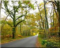 Minor road across Hook Common, November in RG27 9GJ