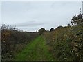 Footpath and track south of Cottles farm, Woodbury in EX5 1EA