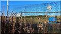 Fencing and former reservoir near Rogerton in G74 4GY