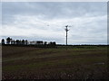 Field and power lines, Calder Bridge in CA20 1DG