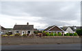 Bungalows on Springfield Road (A595), Bigrigg in Bigrigg