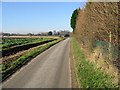 Looking NW along small lane near Europa Nurseries in CT3 2AN