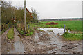 Muddy tracks near Blundies in DY7 5HR