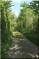 Lane at Sideham in EX31 3JY