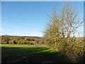 Pasture, below Norton's Wood in BS21 7AF
